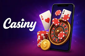 Casiny Registration A Comprehensive Guide to Getting Started Casiny Registration A Comprehensive Guide to Getting Started