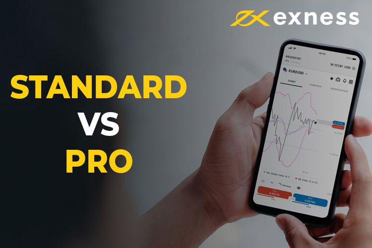 Understanding Exness Forex Minimum Deposit Understanding Exness Forex Minimum Deposit